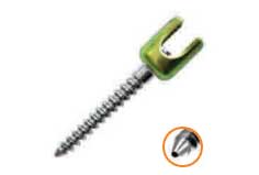Polyaxial Reduction Pedicle screw