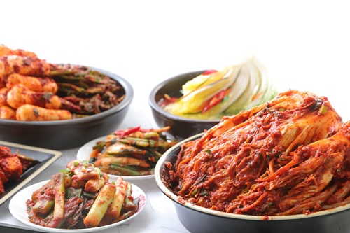 발효 음식이 장내 환경을 바꾸는 놀라운 이유